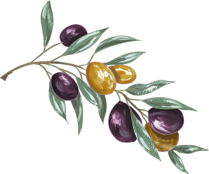 Painterly Hanukkah Olive Branch